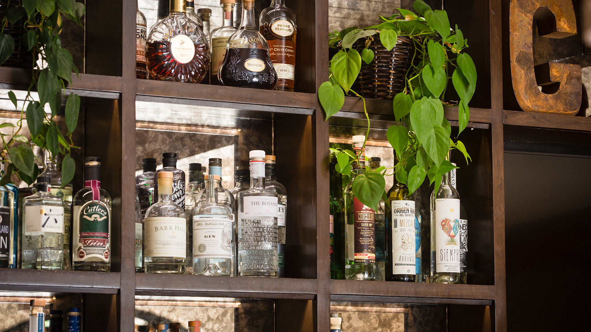 CAYA Restaurant Liquor Shelf
