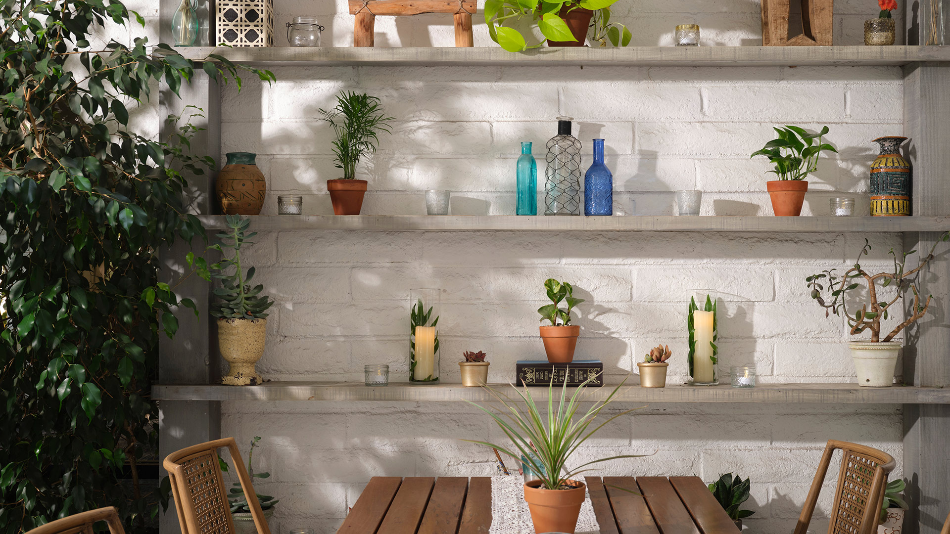 CAYA Restaurant Interior Design